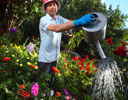 A man outdoors in a garden area with lush greenery and a variety of flowering plants, including red, pink, and purple blooms, is watering the plants using a silver metal watering can with a long spout. The garden features a well-maintained lawn, patches of soil, and dense shrubbery in the background, with a mixture of tall trees and bushes providing shade. The scene appears to be taken on a bright day with natural sunlight highlighting the vibrant colors of the flowers and foliage. The man is wearing a light blue shirt, dark trousers, a red hat, and blue gloves, and is focused on watering the garden beds, suggesting local gardening and outdoor maintenance services in the Surbiton area. The environment reflects a thoughtfully landscaped outdoor space suitable for gardening or landscaping projects, typical of suburban gardens in the postcode area near Surbiton, in South West London.