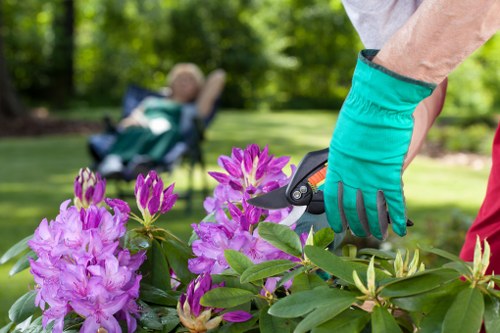 Garden clearance team removing overgrown vegetation in a back garden