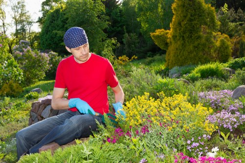 A gardener in natural daylight, wearing a red t-shirt, blue gloves, and a blue patterned hat, is kneeling on a garden bed filled with an assortment of flowering plants and shrubs. The garden features densely planted flower beds with vibrant yellow, pink, and purple blooms, bordered by neatly trimmed green foliage. Behind the gardener, there are tall, mature trees and dense greenery, indicating a well-maintained outdoor space in a private garden or landscaped yard. The soil in the flower beds appears well-tended, and the overall scene displays an organized and lush garden environment, typical of outdoor maintenance and gardening services in Surbiton, with natural textures of grass, blooming plants, and tree foliage visible under bright, clear weather conditions. Gardening Services Surbiton may use such settings to illustrate their expertise in floral and landscape gardening work.