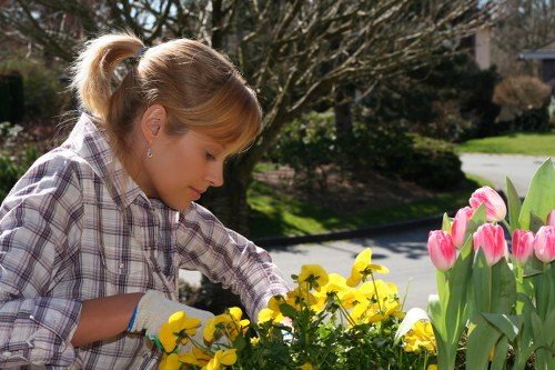 Professional designing landscape garden layout with plants
