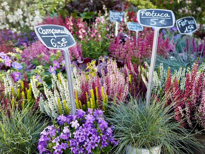 A vibrant garden display featuring a variety of flowering plants and shrubs, with purple and pink blooms in full view. In the foreground, there are plants with soft, spiky green foliage, possibly orna