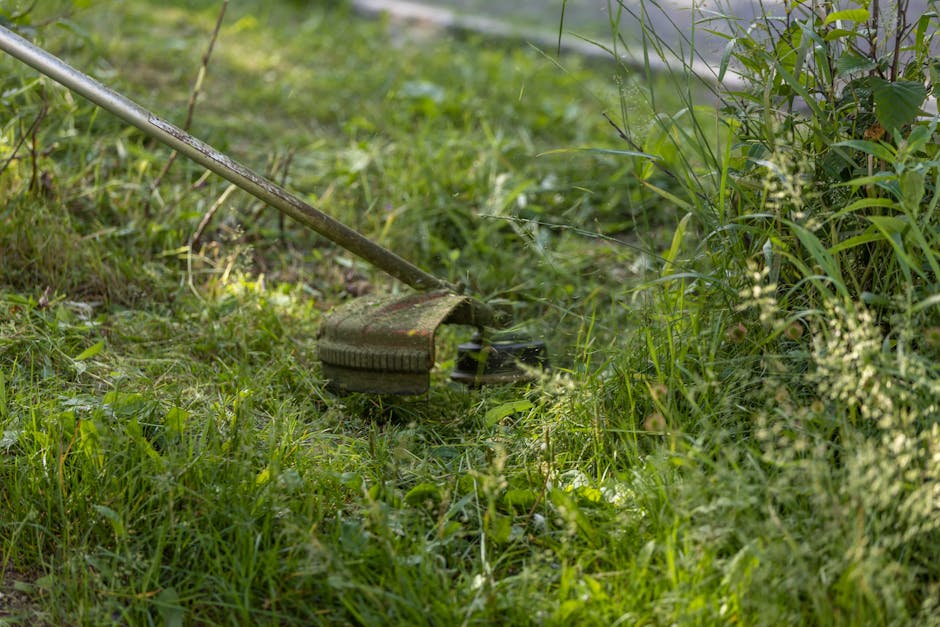 A close-up view of a garden with lush green grass, patches of soil, and various plants and shrubs along the border. A garden rake with a long wooden handle and a metal head is resting on the ground, i