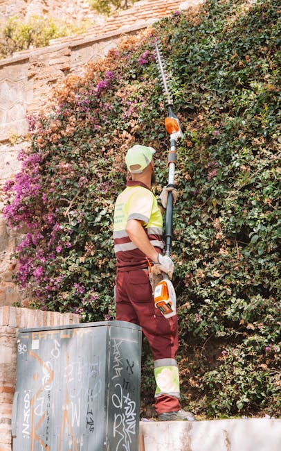 A close-up view of a garden with lush green grass, patches of soil, and various plants and shrubs along the border. A garden rake with a long wooden handle and a metal head is resting on the ground, i